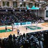 Dartmouth Big Green Mens Basketball