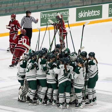 Dartmouth Big Green Womens Hockey Tickets 