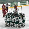 Dartmouth Big Green Womens Hockey