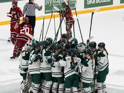 Dartmouth Big Green Womens Hockey
