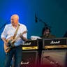 David Wilcox image