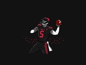 Davidson Wildcats Football