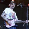Image Deer Tick