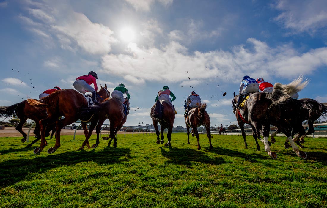 Promotional image for Del Mar Friday tickets at Del Mar Thoroughbred Club on Aug 22, 2025