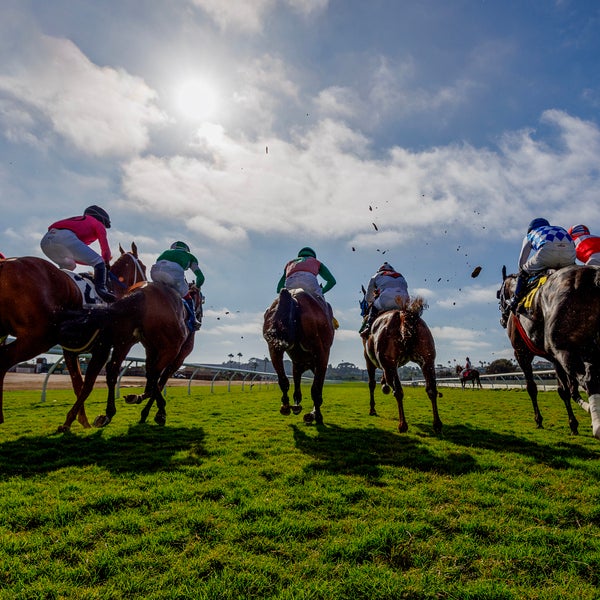 Del Mar Thoroughbred Club Tickets | 2026 Games & Schedule | SeatGeek.ca