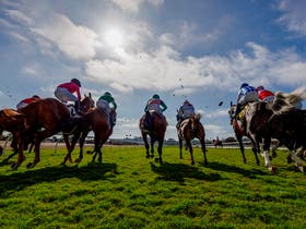 Del Mar Thoroughbred Club at Del Mar Thoroughbred Club
