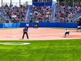 Delaware Blue Hens Softball
