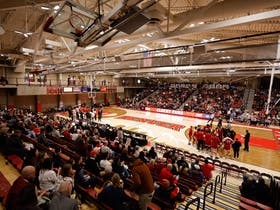 Denver Pioneers Mens Basketball at Hamilton Gymnasium