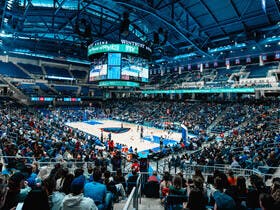 DePaul Blue Demons Womens Basketball