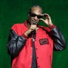 DJ Snoopadelic image