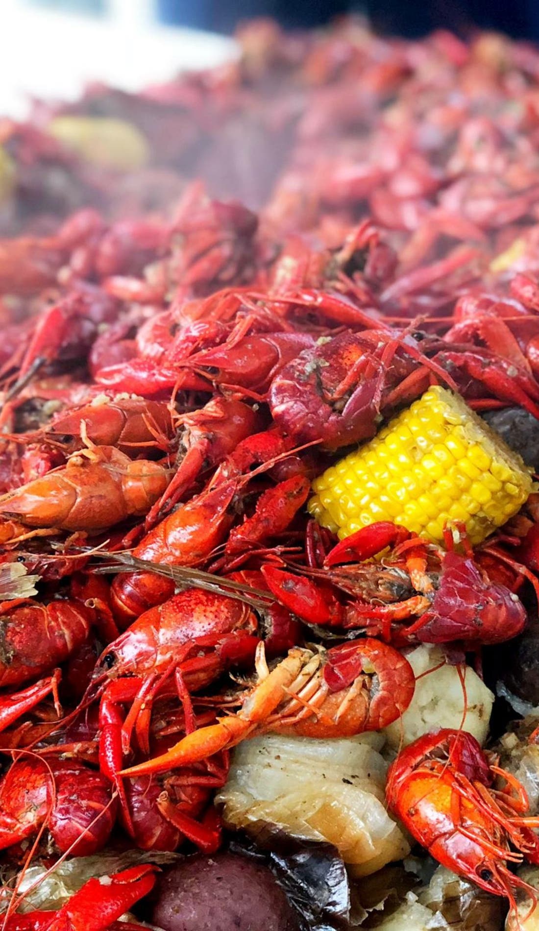 Draft Boil promotional image for upcoming events and ticket sales