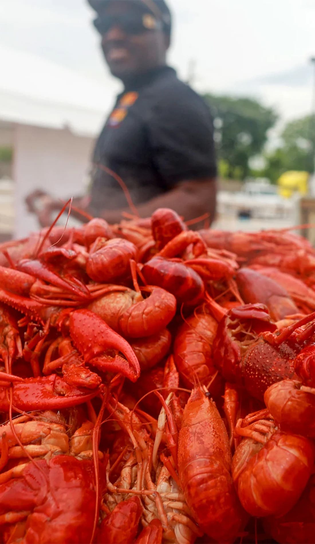 Saints Draft Crawfish Cookoff's Stadium