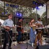 Image Elephant Revival