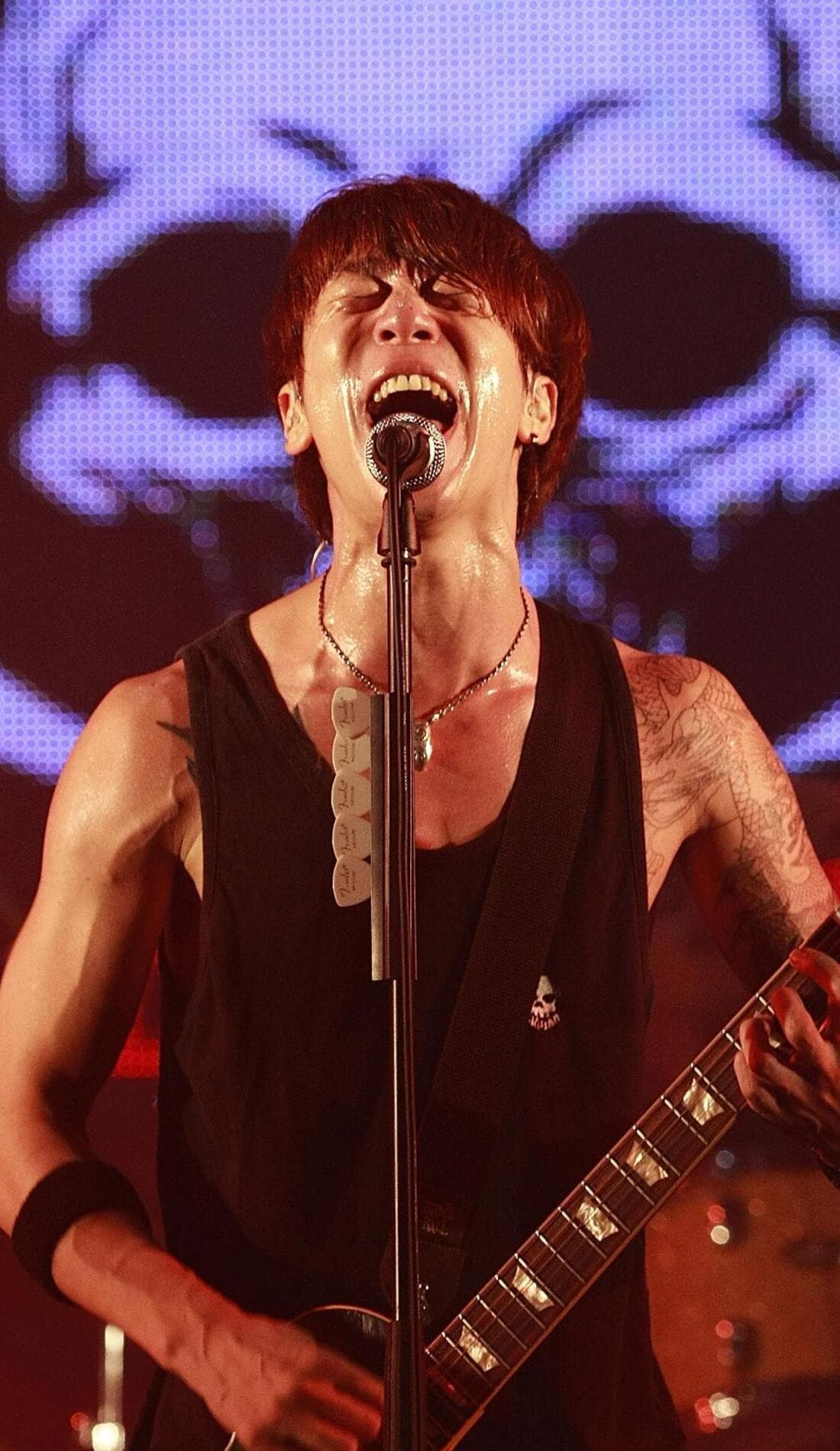 ELLEGARDEN promotional image for upcoming events and ticket sales