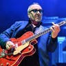 Elvis Costello image