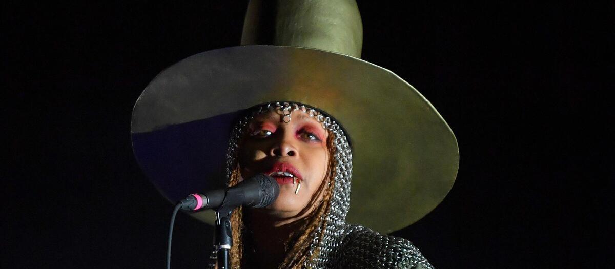 Erykah Badu - Michigan Lottery Amphitheatre at Freedom Hill