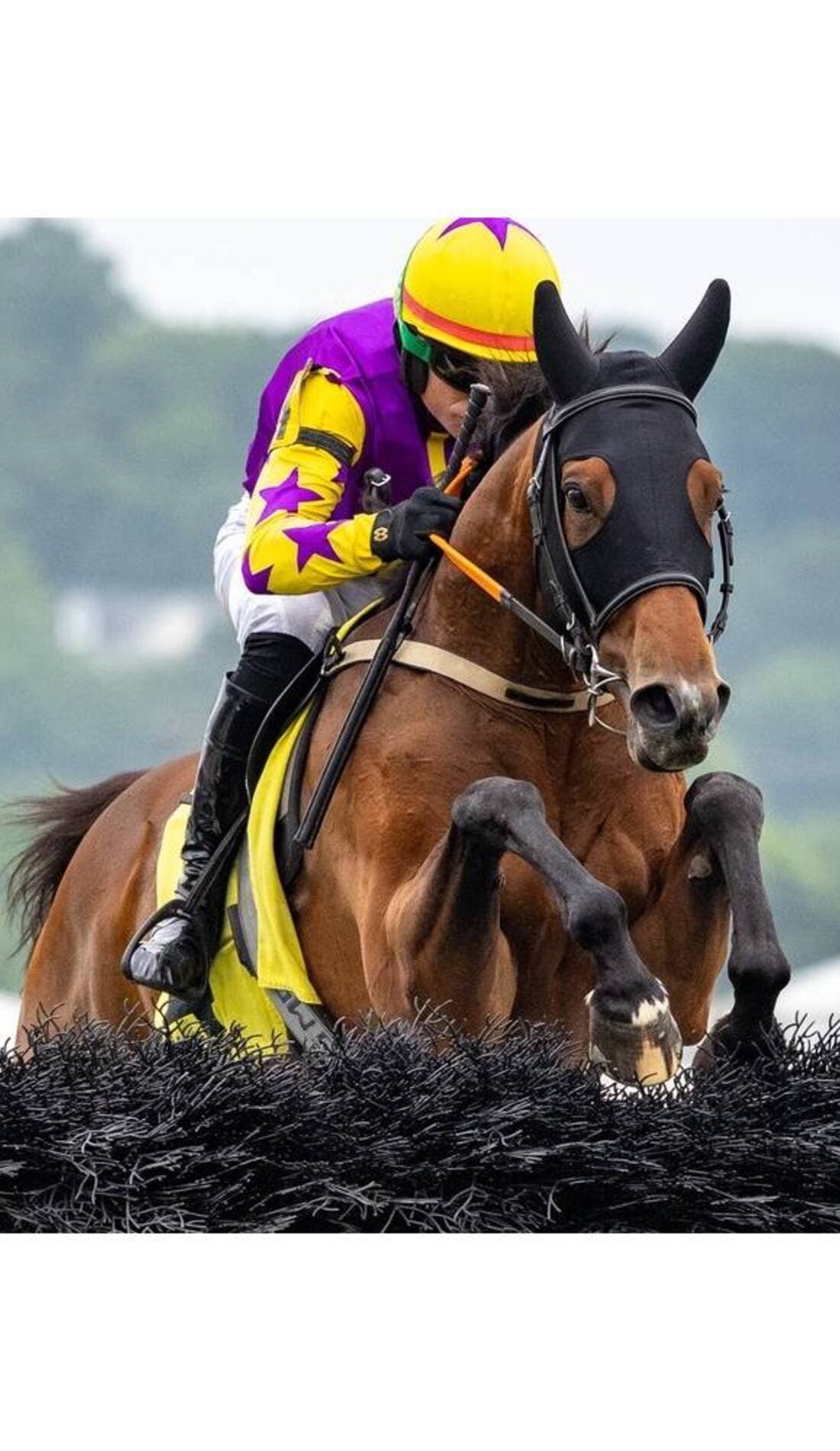 Fair Hill promotional image for upcoming events and ticket sales