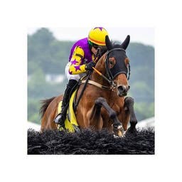 Fair Hill