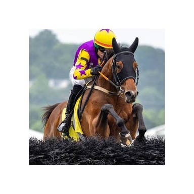 Promotional image of Fair Hill