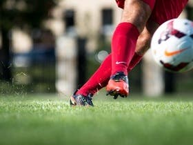 Fairfield Stags Mens Soccer