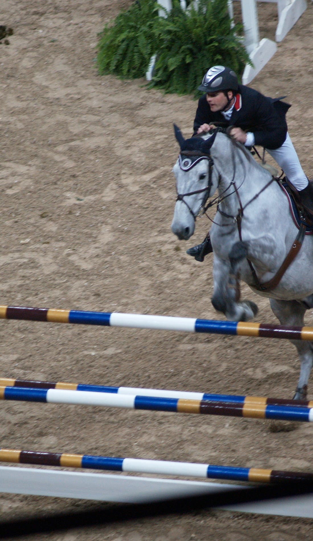 FEI World Cup Finals promotional image for upcoming events and ticket sales