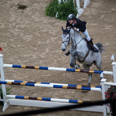 Promotional image of FEI World Cup Finals