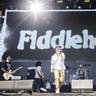 Fiddlehead image