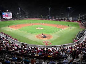 Florida State Seminoles Baseball at Dick Howser Stadium