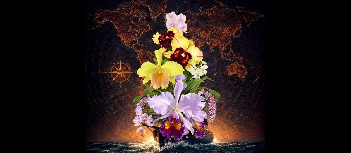 Fort Lauderdale Orchid Society - FTL War Memorial Auditorium