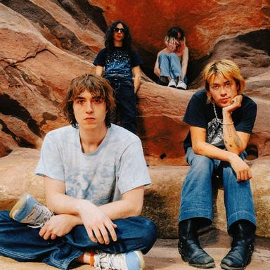 Promotional image of Geese