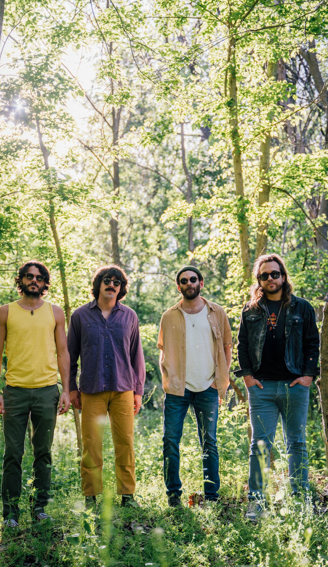 Goose promotional image for upcoming events and ticket sales