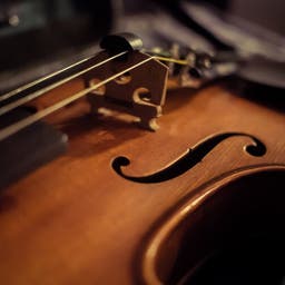 Greenville Symphony Orchestra