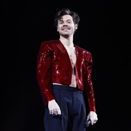 Harry Styles Tickets | 2026 Concert Tour Dates | SeatGeek