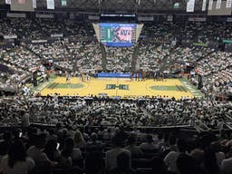 Hawaii Rainbow Warriors Mens Basketball