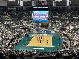 Hawaii Rainbow Warriors Mens Volleyball