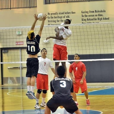 Promotional image of HHSAA Boys Volleyball