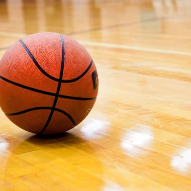 Promotional image of Hofstra Pride Womens Basketball