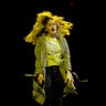 Hollyn