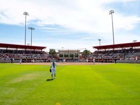 Houston Cougars Softball