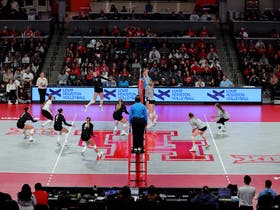 Houston Cougars Womens Volleyball