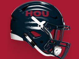 Houston Texans