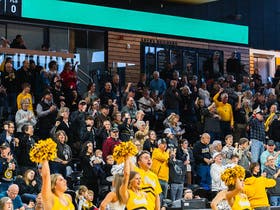 Idaho Vandals Womens Basketball