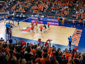 Illinois Fighting Illini Womens Volleyball