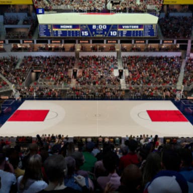 Promotional image of Indiana Fever