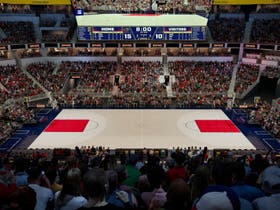 Indiana Fever