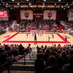 Indiana Hoosiers Womens Volleyball