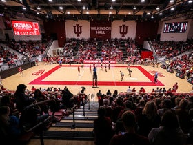Indiana Hoosiers Womens Volleyball