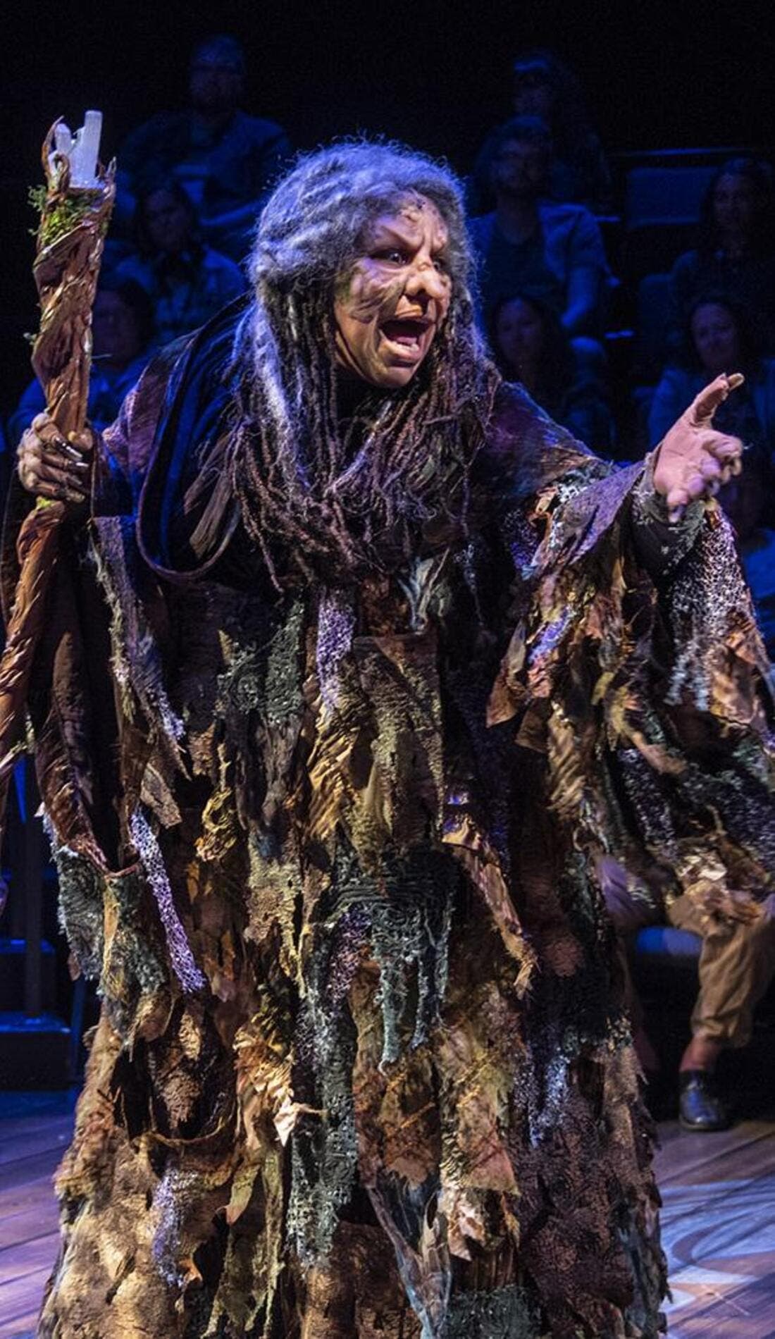 Into the Woods promotional image for upcoming events and ticket sales