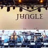 Jungle image