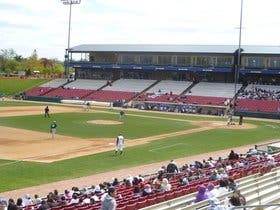 Kane County Cougars